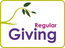 Regular Giving button for website